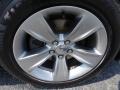 Billet Metallic - Charger SXT Photo No. 13