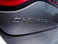 Billet Metallic - Charger SXT Photo No. 16