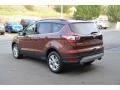 Cinnamon Glaze - Escape SE 4WD Photo No. 4