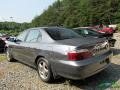 2003 Satin Silver Metallic Acura TL 3.2  photo #3