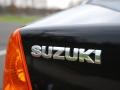 2002 Black Onyx Suzuki Aerio GS Sedan  photo #18