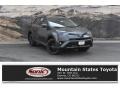 Magnetic Gray Metallic - RAV4 Adventure AWD Photo No. 1