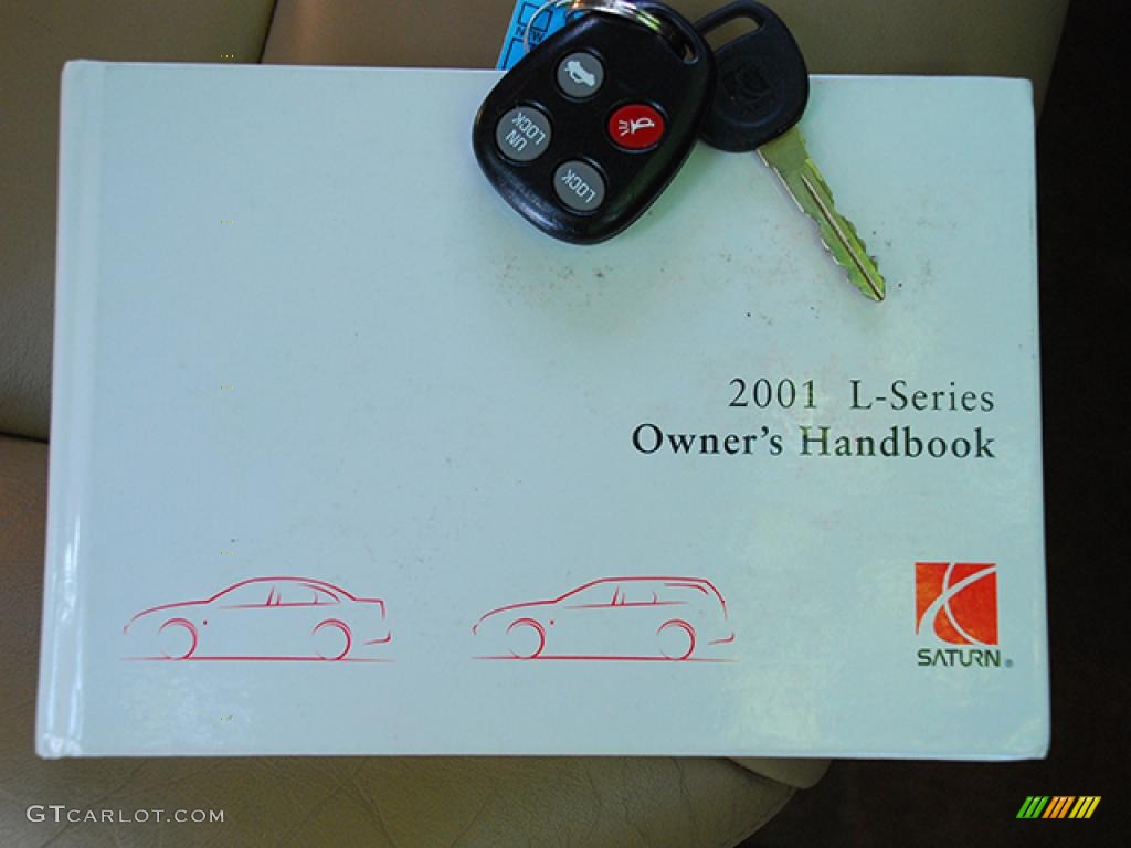 2001 L Series L300 Sedan - Medium Gold / Tan photo #18