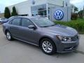 Platinum Gray Metallic - Passat S Photo No. 2