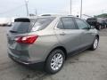 Pepperdust Metallic - Equinox LT AWD Photo No. 5