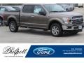 Stone Gray 2018 Ford F150 Gallery