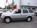 Sierra Silver Metallic - Pathfinder LE Photo No. 22