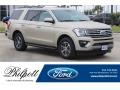 2018 White Gold Ford Expedition XLT  photo #1