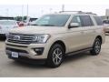 White Gold 2018 Ford Expedition XLT Exterior