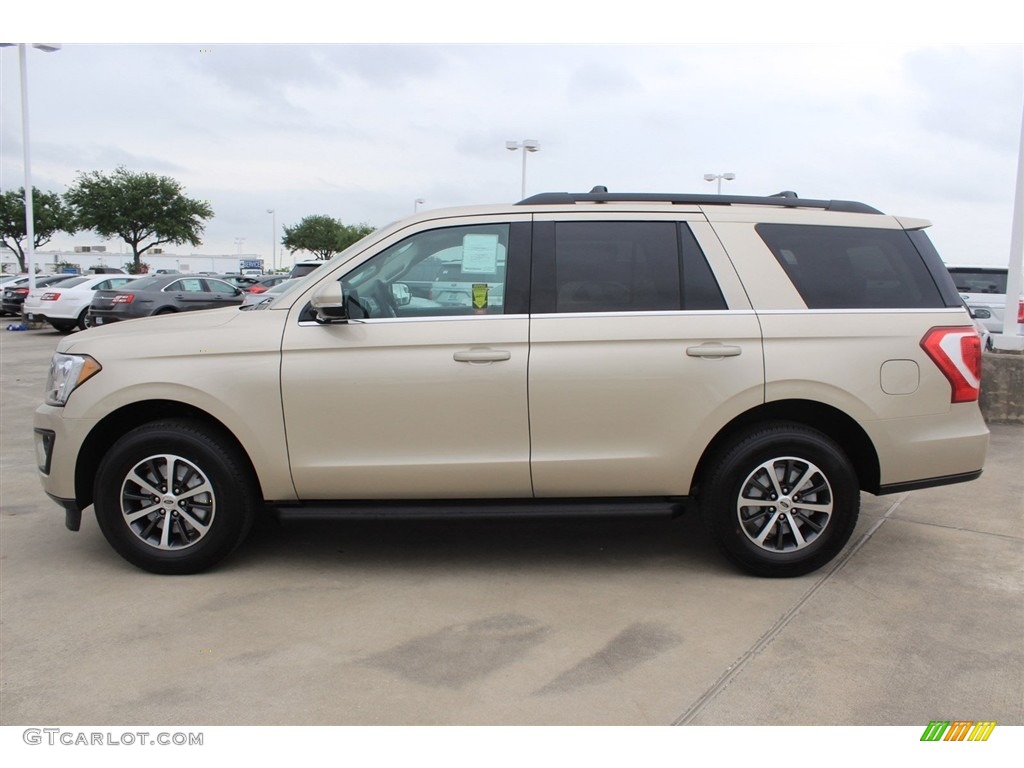 White Gold 2018 Ford Expedition XLT Exterior Photo #128897014