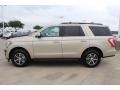 White Gold 2018 Ford Expedition XLT Exterior