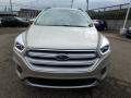 2018 White Gold Ford Escape SEL 4WD  photo #8