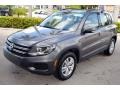 Pepper Gray Metallic - Tiguan S Photo No. 4