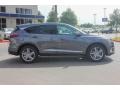 Modern Steel Metallic - RDX Advance Photo No. 8
