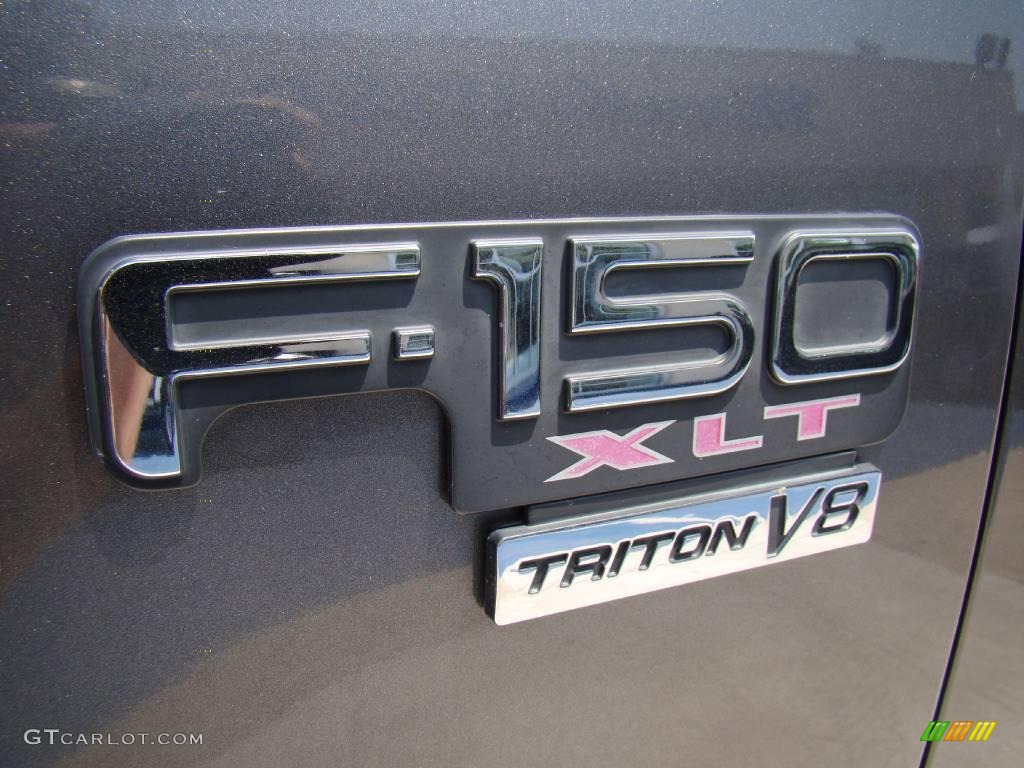2002 F150 XLT SuperCab - Dark Shadow Grey Metallic / Dark Graphite photo #24