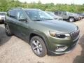 Olive Green Pearl - Cherokee Limited 4x4 Photo No. 6