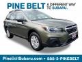 Wilderness Green Metallic 2019 Subaru Outback 2.5i