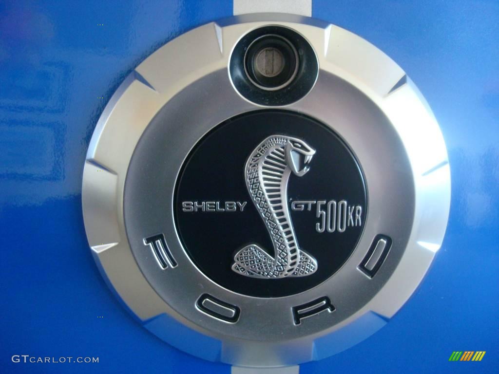 2008 Mustang Shelby GT500KR Coupe - Brilliant Silver Metallic / Black photo #11