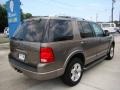 2003 Mineral Grey Metallic Ford Explorer Limited AWD  photo #4