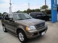 2003 Mineral Grey Metallic Ford Explorer Limited AWD  photo #6