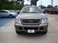 2003 Mineral Grey Metallic Ford Explorer Limited AWD  photo #7
