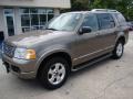 2003 Mineral Grey Metallic Ford Explorer Limited AWD  photo #8