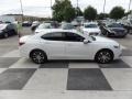 Bellanova White Pearl - TLX 2.4 Photo No. 3