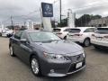 2013 Nebula Gray Pearl Lexus ES 300h Hybrid  photo #1