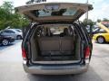 Arizona Beige Metallic - Freestar SE Photo No. 12