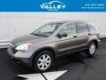 2009 Urban Titanium Metallic Honda CR-V EX 4WD  photo #1