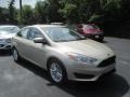 White Gold - Focus SE Sedan Photo No. 1