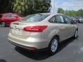 White Gold - Focus SE Sedan Photo No. 4