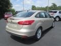 White Gold - Focus SE Sedan Photo No. 4