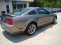2005 Mineral Grey Metallic Ford Mustang GT Deluxe Coupe  photo #8