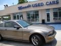 2005 Mineral Grey Metallic Ford Mustang GT Deluxe Coupe  photo #19