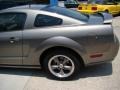 2005 Mineral Grey Metallic Ford Mustang GT Deluxe Coupe  photo #22