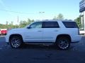 Summit White - Yukon Denali Photo No. 15