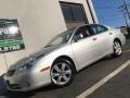 Classic Silver Metallic - ES 330 Photo No. 16