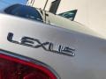 Classic Silver Metallic - ES 330 Photo No. 28