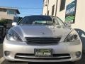 Classic Silver Metallic - ES 330 Photo No. 62