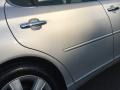 Classic Silver Metallic - ES 330 Photo No. 101