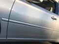 Classic Silver Metallic - ES 330 Photo No. 107