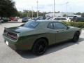 F8 Green - Challenger SXT Photo No. 5