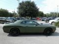 F8 Green - Challenger SXT Photo No. 6