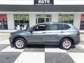 Platinum Gray Metallic - Tiguan S Photo No. 1