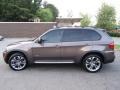 Sparkling Bronze Metallic - X5 xDrive 50i Photo No. 7
