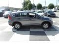 Modern Steel Metallic - CR-V LX Photo No. 3