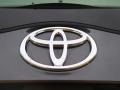 Magnetic Gray Metallic - Prius Hybrid Photo No. 18