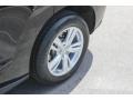 Crystal Black Pearl - RDX  Photo No. 13