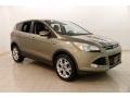 2013 Ginger Ale Metallic Ford Escape SEL 1.6L EcoBoost 4WD  photo #1